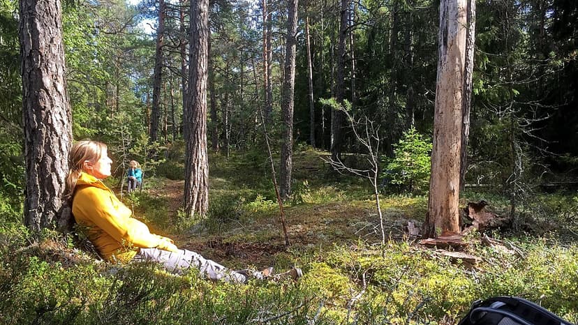 Sitter i naturen